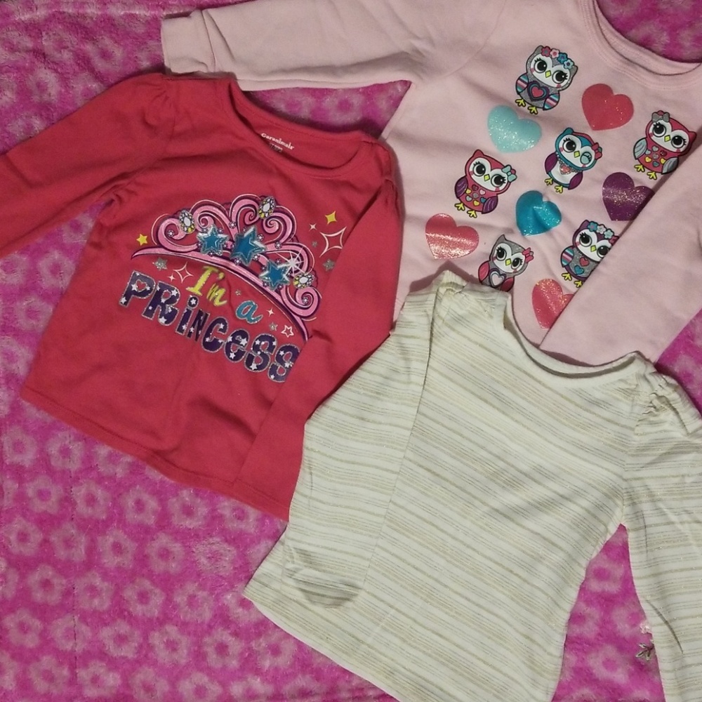 💜 3/$20 Long sleeve girl shirt lot